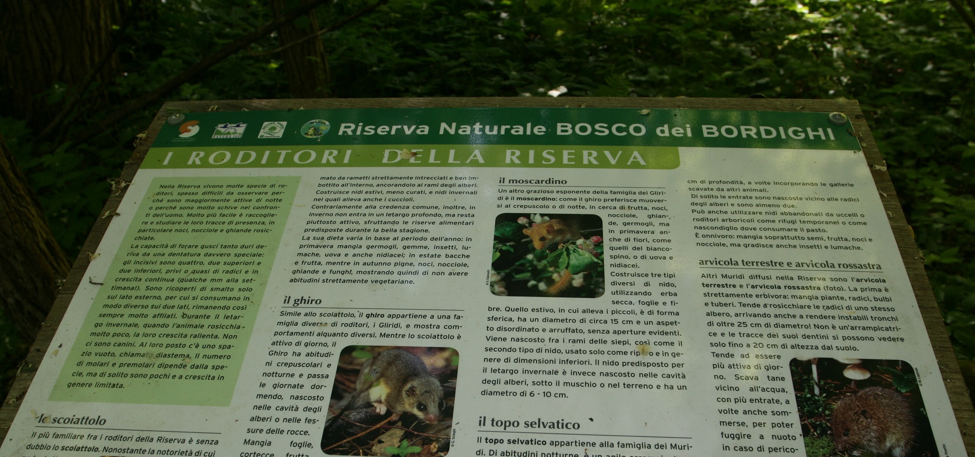 Riserva Naturale Bosco dei Bordighi