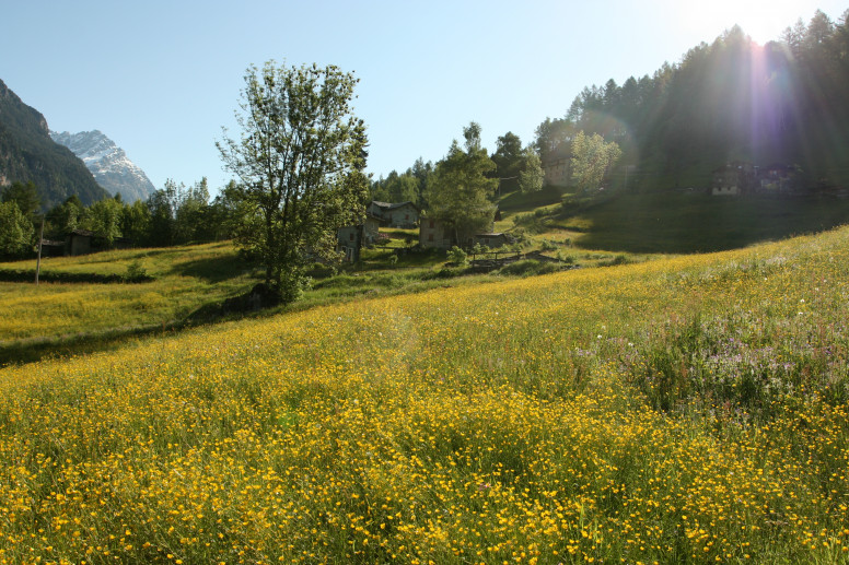 Curada di Caspoggio