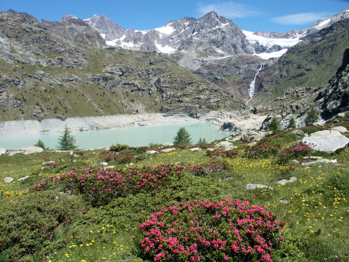 Le dighe della Valmalenco