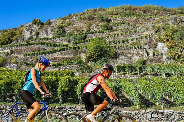 La Via dei Terrazzamenti - Vineyard Route