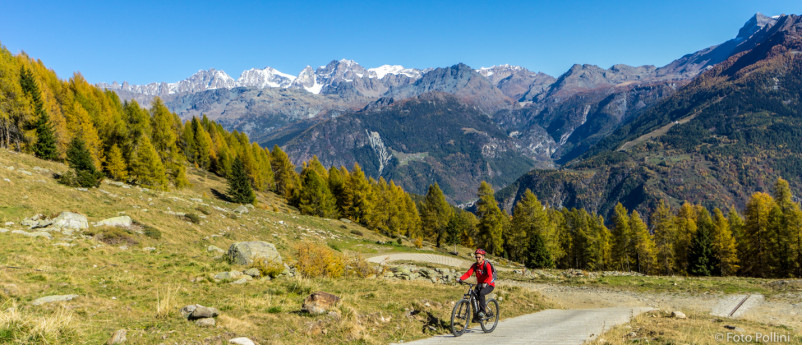 Torre di Santa Maria - Alpe Arcoglio inferiore - Alpe Piasci