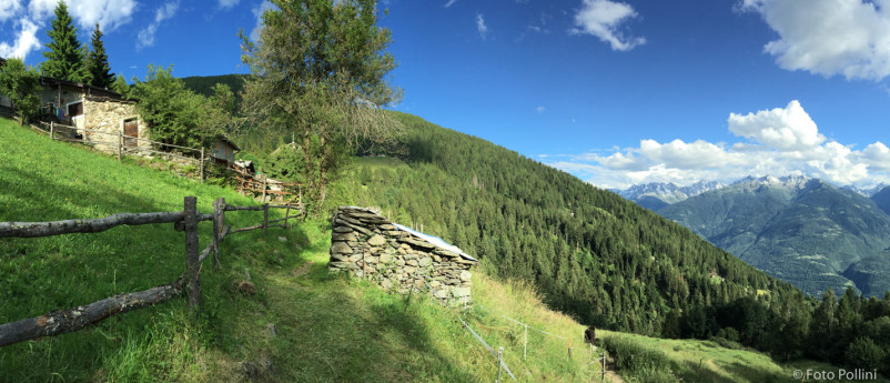 Montagna in Valtellina - Carnale - Davaglione