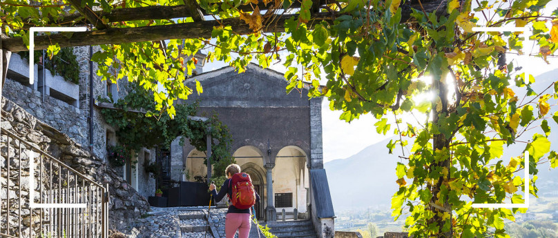 I vigneti del Sassella