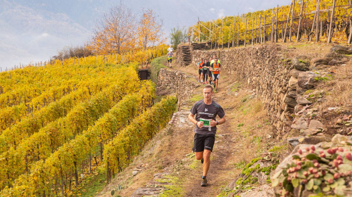 Valtellina wine trail Valtellina wine trail