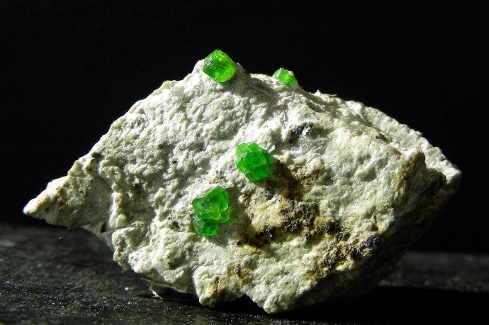 Visita Guidata al Museo Mineralogico