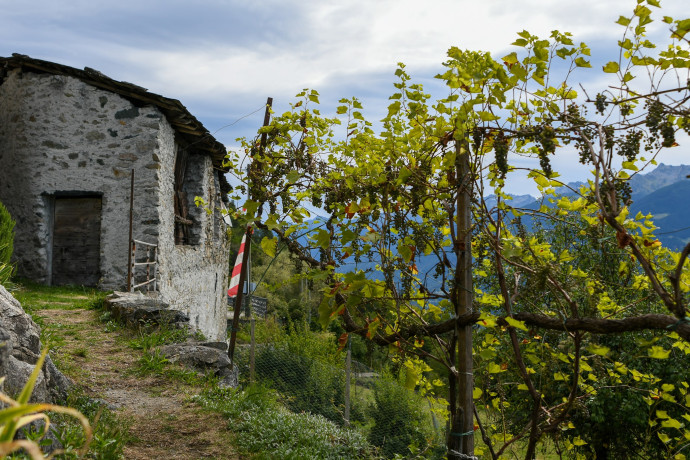 Tra Vigne e Crap