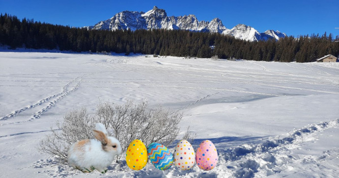 Caccia alle Uova nel bosco innevato