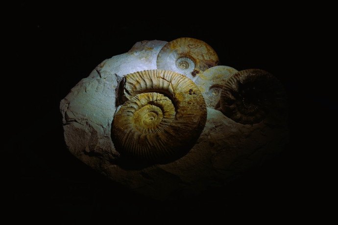 Sito Paleontologico Val d'Ambria 