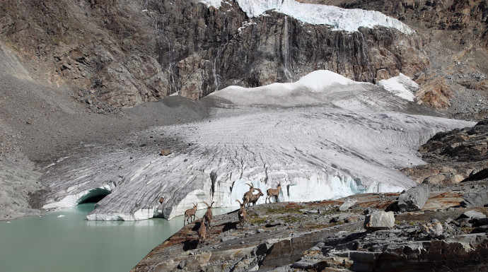 Il Cuore di Ghiaccio del Bernina.