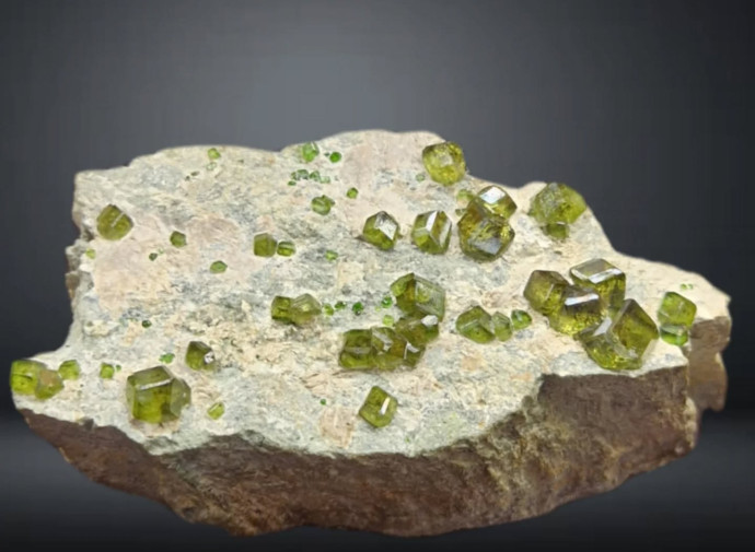 Ricerca dei Demantoidi in Aquanegra 