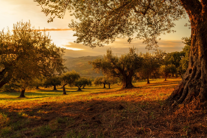 Viaggiare liberi - Rassegna di incontri dedicati ai viaggi