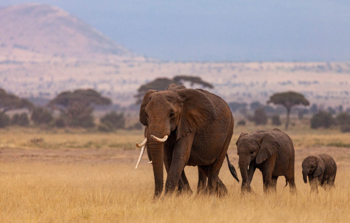 Viaggiare Liberi - Africa