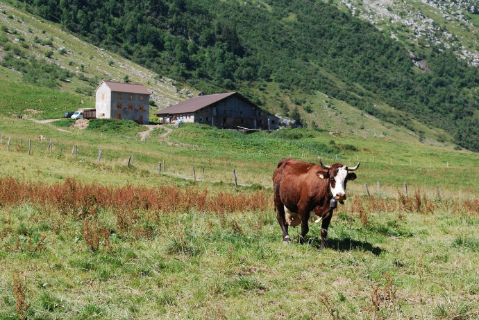 Tra carta e sentieri, viaggio letterario dalle Orobie