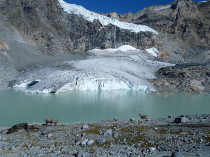 Mostra TerraGlacialis. Mostra TerraGlacialis.