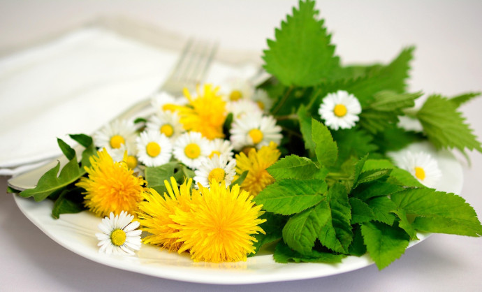 Corso di Cosmesi Naturale
