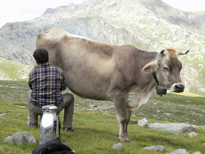 A scuola di montagna