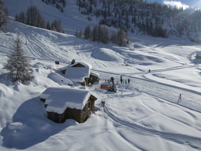 Tutti i segreti della neve - A scuola di montagna