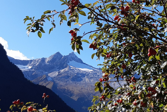 Sfumature d'autunno - Escursioni alla scoperta del foliage