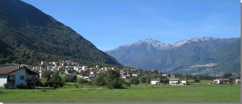 Colorina Colorina