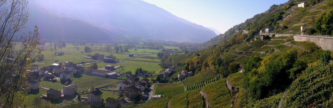 Valtellina Wine Trail PROGRAMMA
