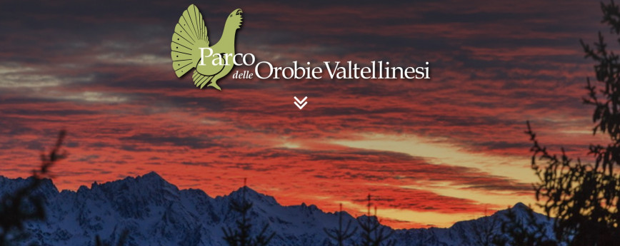 Escursioni con le guide nel parco delle Orobie Valtellinesi