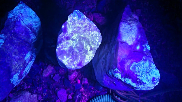 Alla Ricerca di Minerali Fluorescenti 