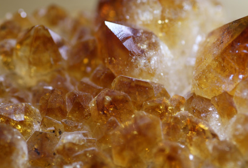 Visita guidata al Museo Mineralogico 28 agosto 2025
