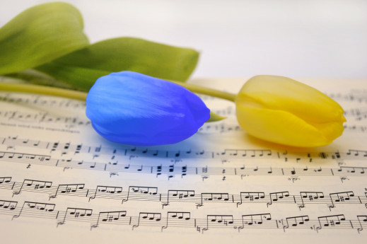 Concerto in Contrada