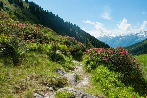 Le Marmitte Verticali