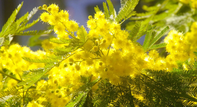 Luci di Donna - Chiuro