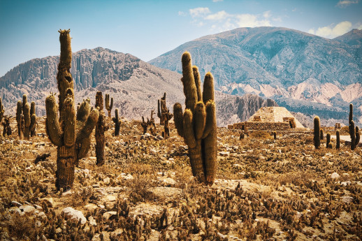 Viaggiare Liberi: Far West Americano