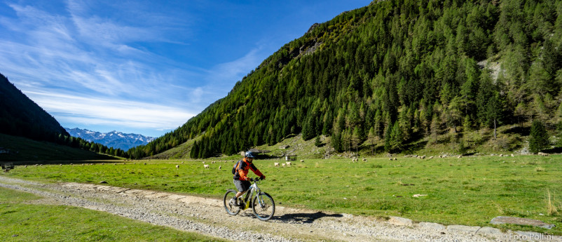 Ponte in Valtellina - Val Fontana