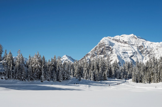 Consorzio turistico Sondrio e Valmalenco