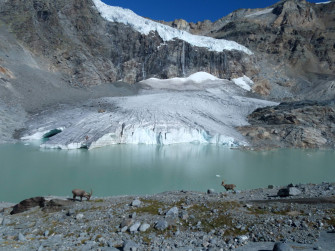 Mostra TerraGlacialis. Mostra TerraGlacialis.