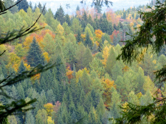 I colori dell'autunno - A scuola di montagna