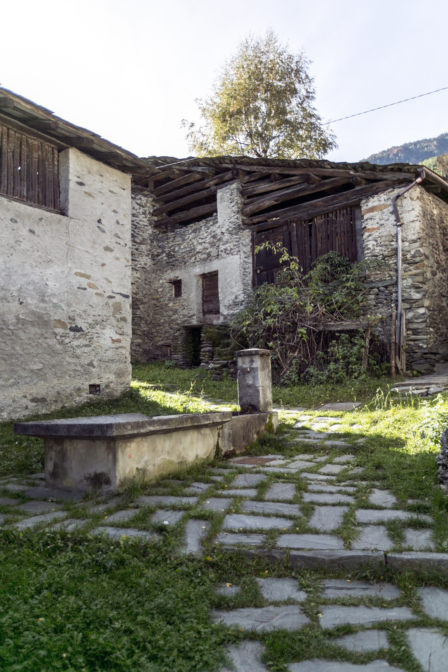 Faldrini - Foto Felice Battaglia