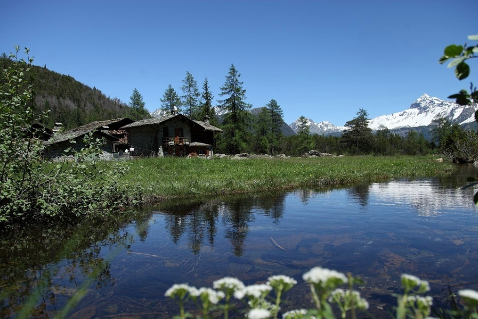 Da Primolo all'Alpe Pirlo