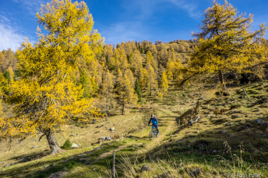 Sondrio - Ponchiera - Poggiridenti - Montagna in Valtellina