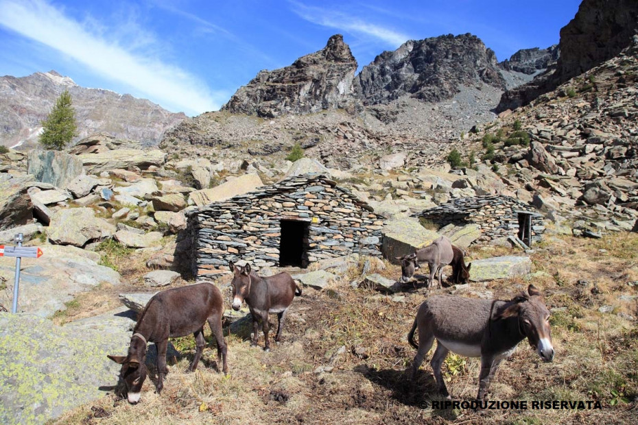 4. Chiareggio - Alpe Lago Palù