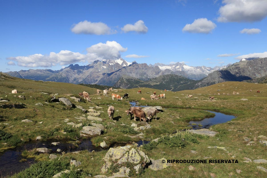 7. Rifugio Bignami - Rifugio Cristina