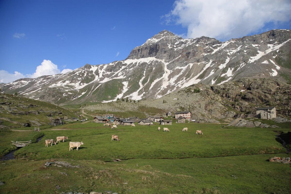 Alpe Prabello - riproduzione riservata