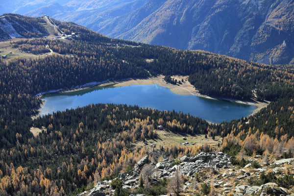 Lago Palù - riproduzione riservata