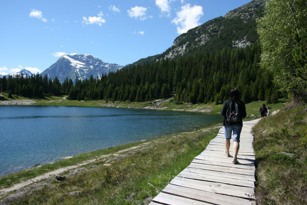 Lago Palù - riproduzione riservata